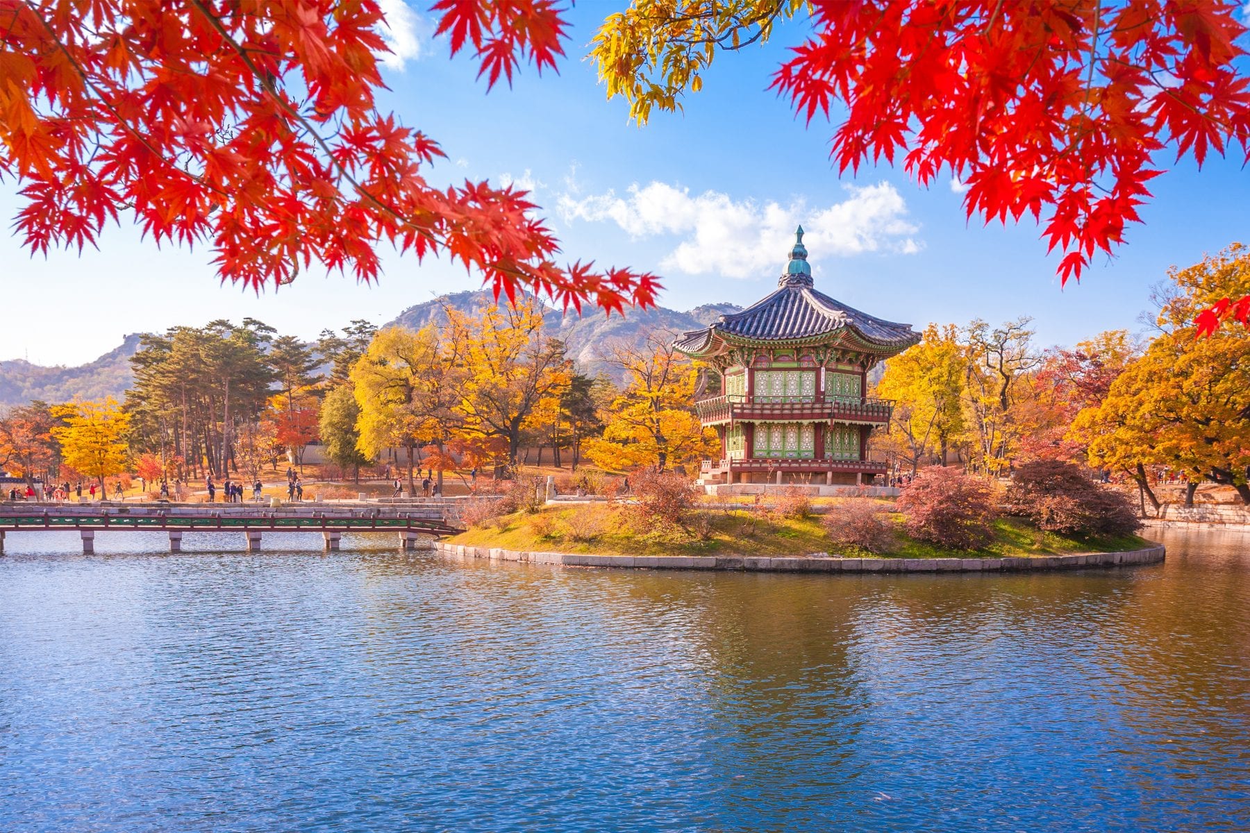 Why South Korea is a Traveller’s Paradise