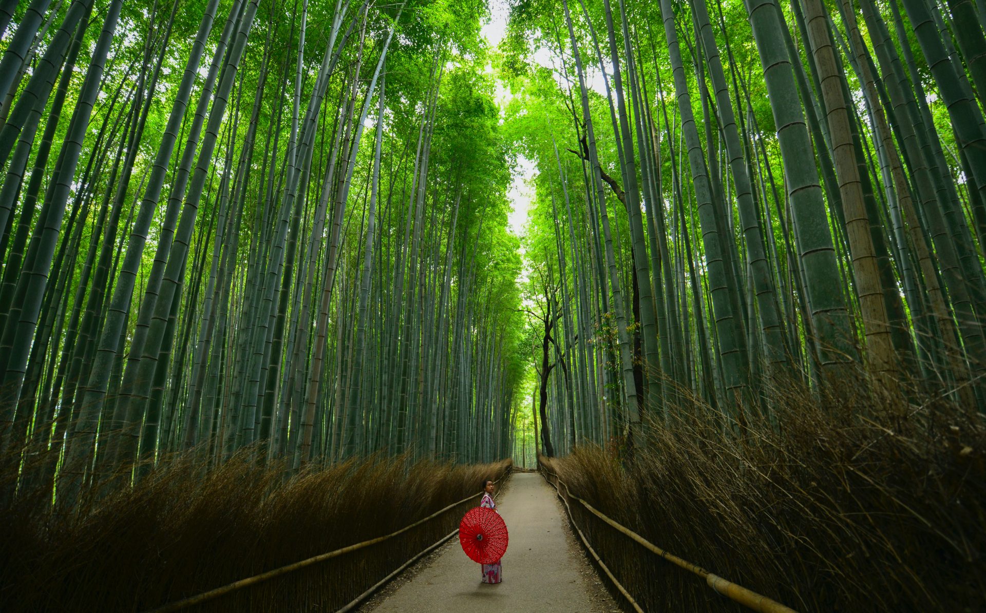 What to do on a Weekend in Kyoto, Japan